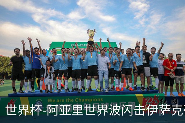 世界杯-阿亚里世界波闪击伊萨克破门 半场瑞典2-1突尼斯